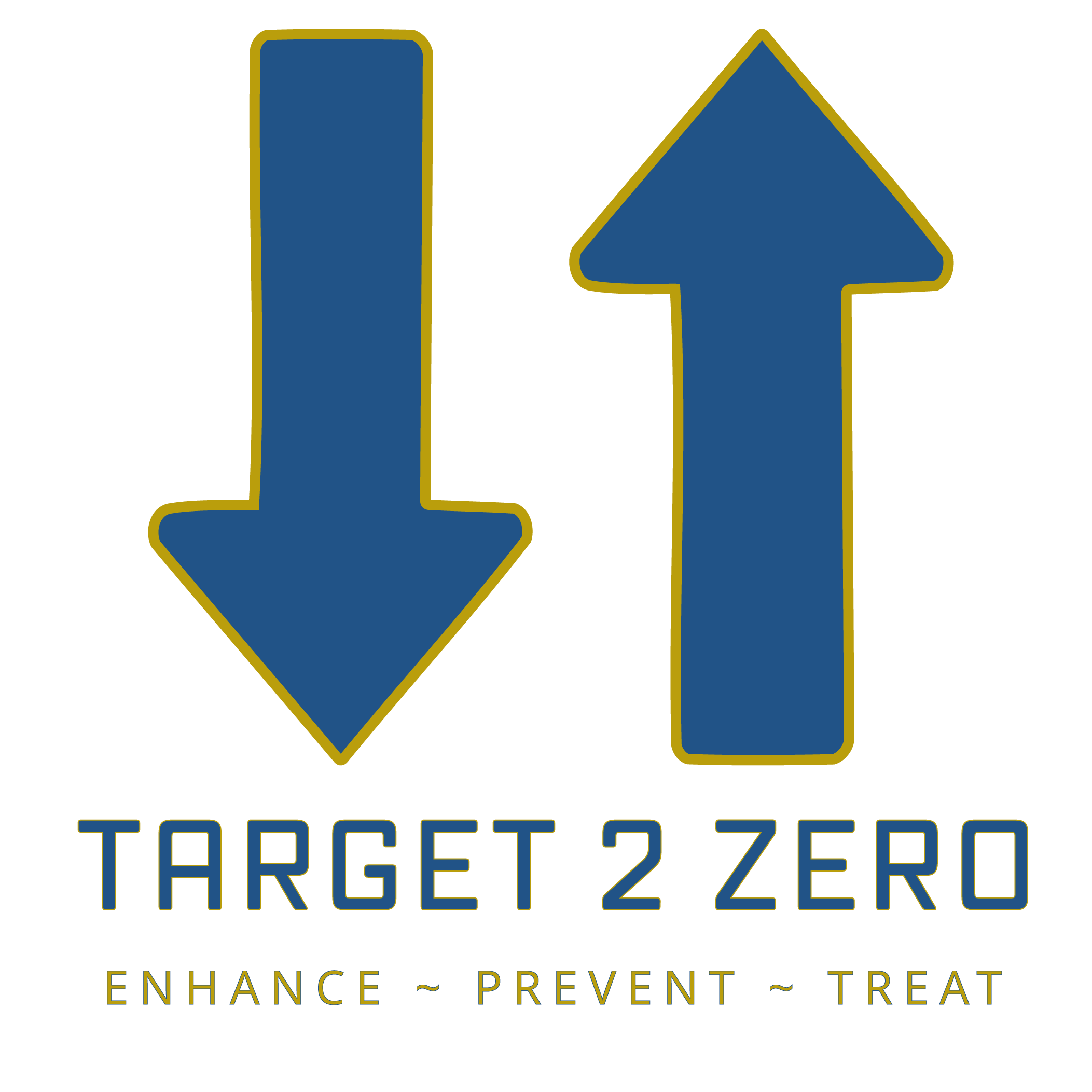 Target 2 Zero Logo